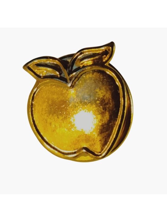 Jewelry - Apple Shaped Pinback Lapel Pin Teacher Doctor Gift Collectible Jewelry
